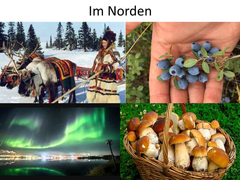 Im Norden