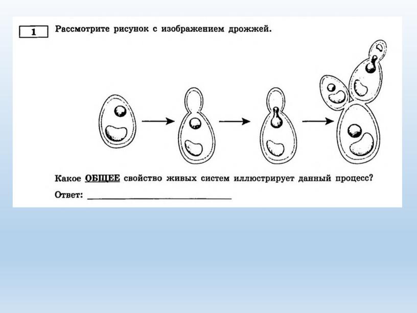 Разбор заданий №1 ОГЭ биология из сборника В.С.Рохлова