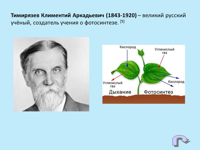 Тимирязев Климентий Аркадьевич (1843-1920) – великий русский учёный, создатель учения о фотосинтезе