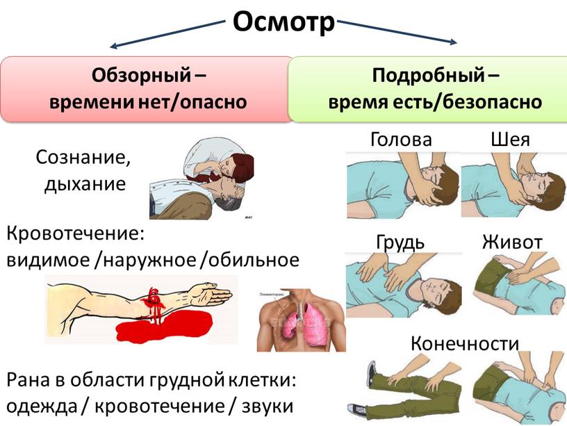 Осмотр Обзорный – времени нет/опасно