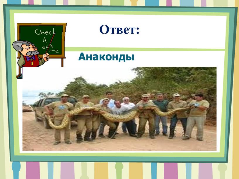 Ответ: Анаконды