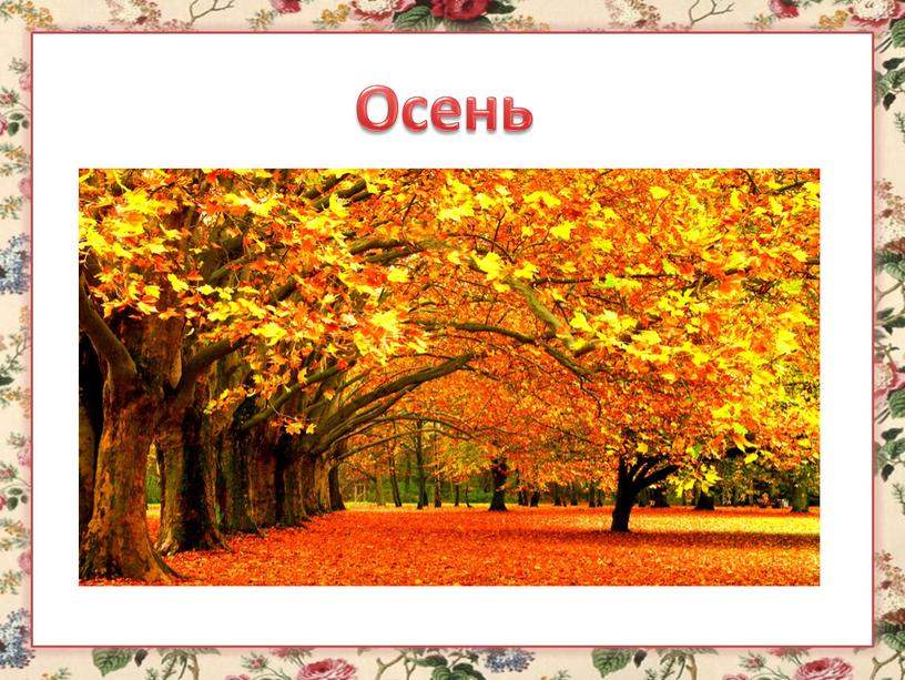 Осень