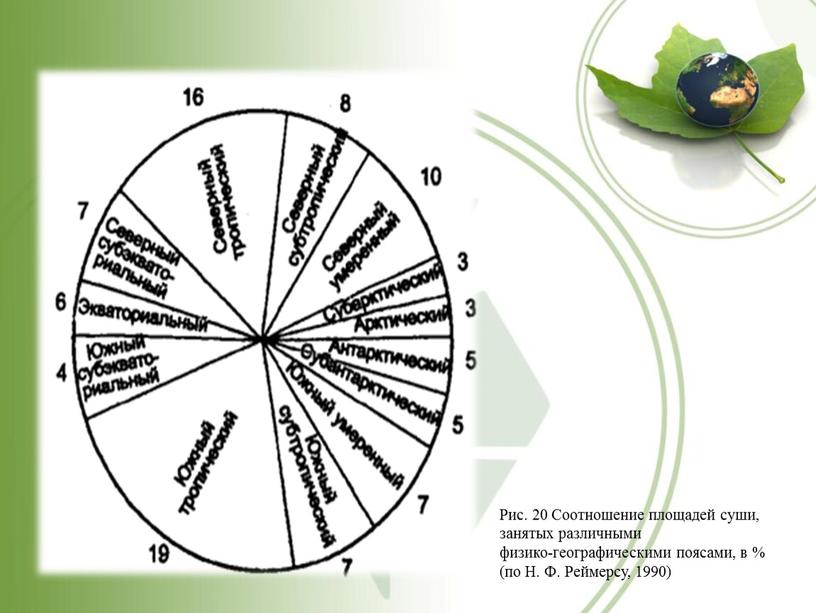 Рис. 20 Соотношение площадей суши, занятых различными физико-географическими поясами, в % (по