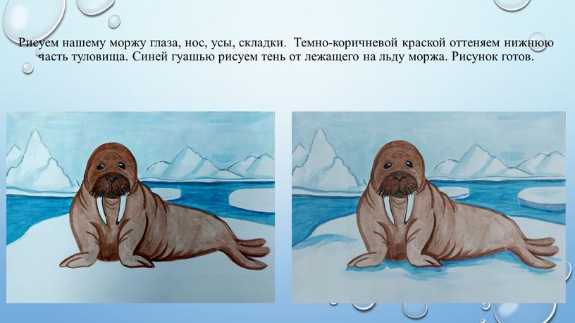 Рисуем нашему моржу глаза, нос, усы, складки