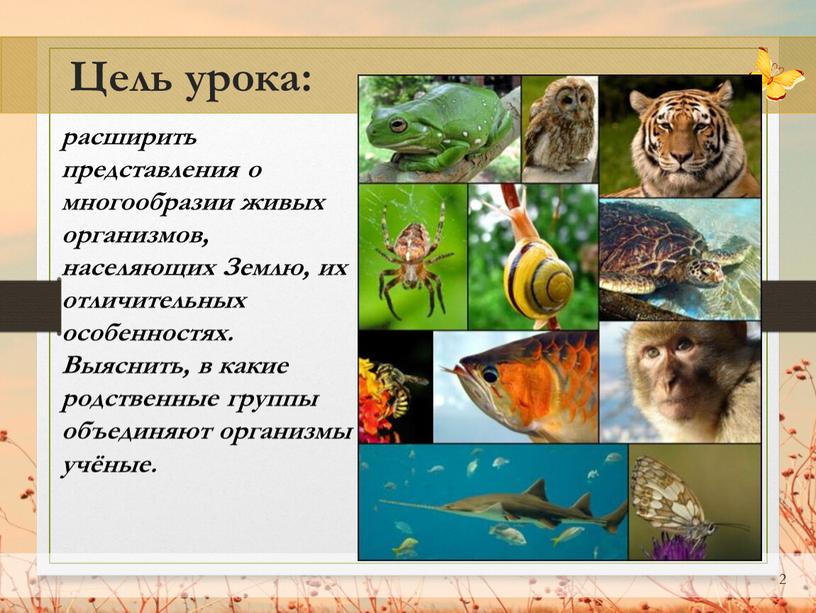 Цель урока: расширить представления о многообразии живых организмов, населяющих