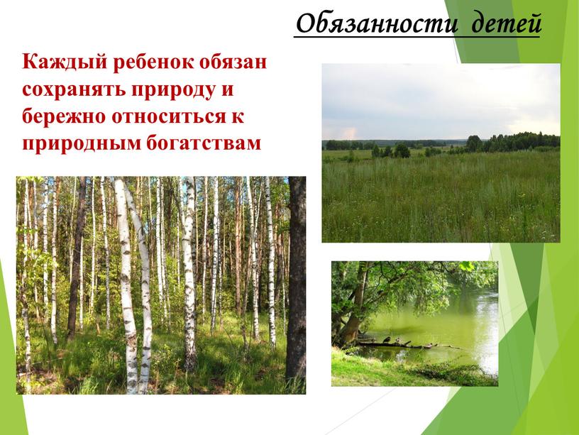 Обязанности детей Каждый ребенок обязан сохранять природу и бережно относиться к природным богатствам