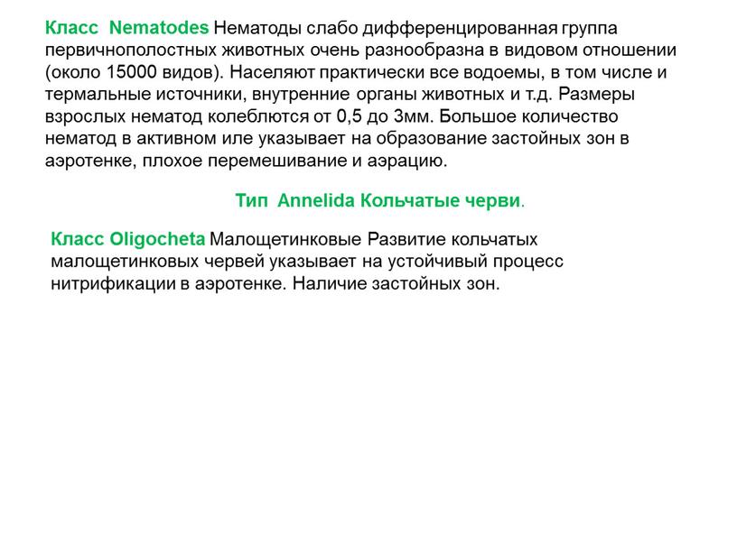 Класс Nematodes Нематоды слабо дифференцированная группа первичнополостных животных очень разнообразна в видовом отношении (около 15000 видов)