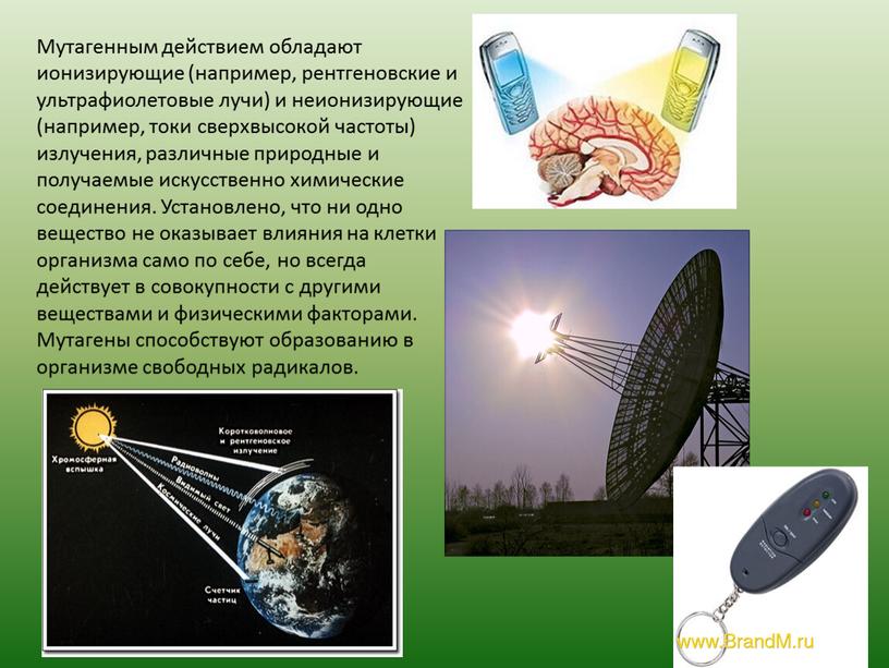 Мутагенным действием обладают ионизирующие (например, рентгеновские и ультрафиолетовые лучи) и неионизирующие (например, токи сверхвысокой частоты) излучения, различные природные и получаемые искусственно химические соединения