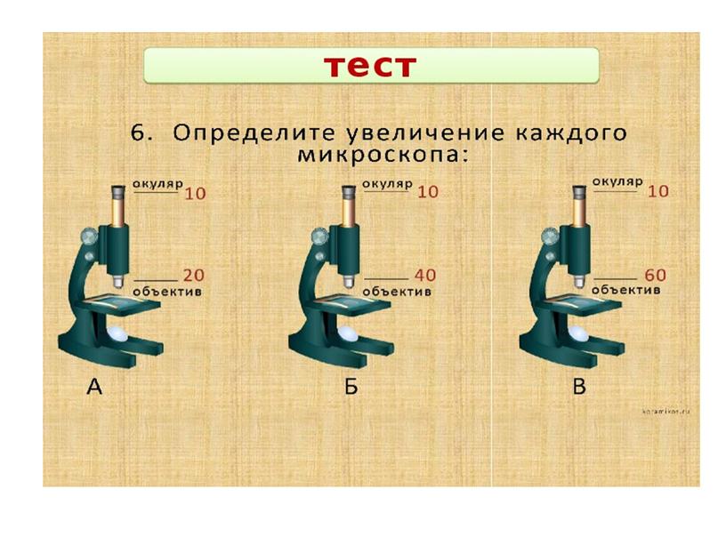 Презентация  "Увеличительные приборы".