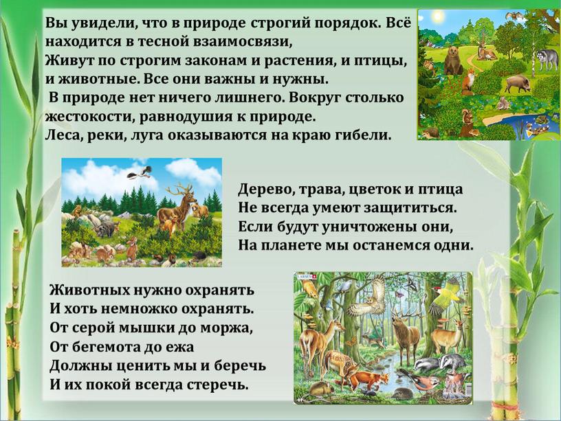 Вы увидели, что в природе строгий порядок