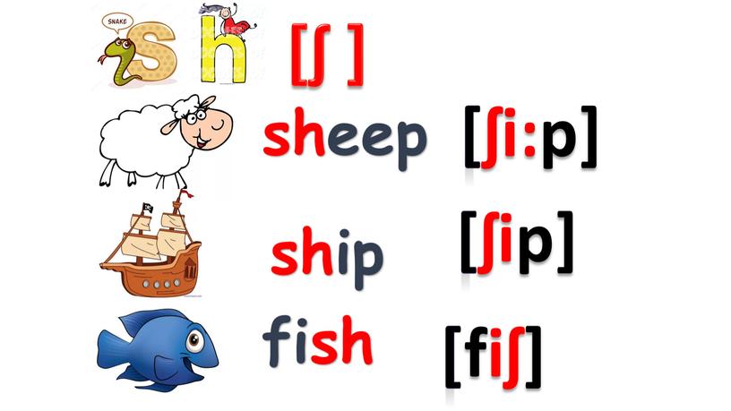 [ʃ ] sheep [ʃi:p] fish [ʃip] ship [fiʃ]