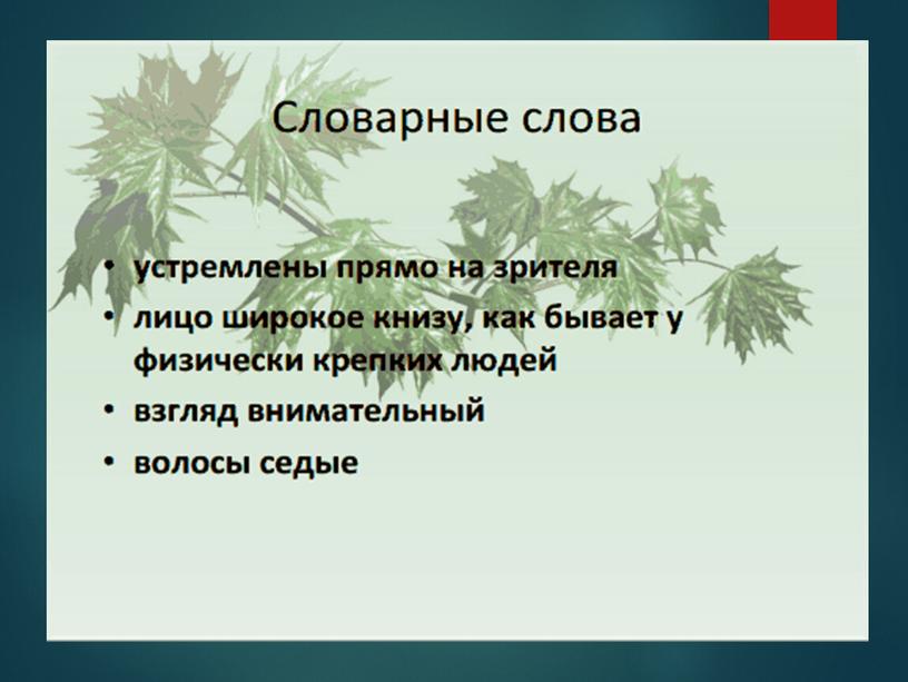 Презентация к уроку развития речи "Описание внешности"