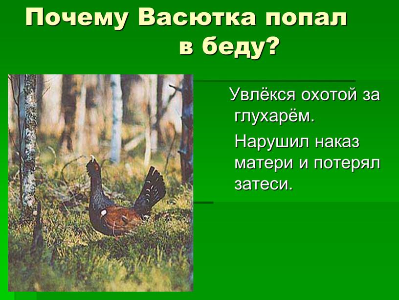 Почему Васютка попал в беду?