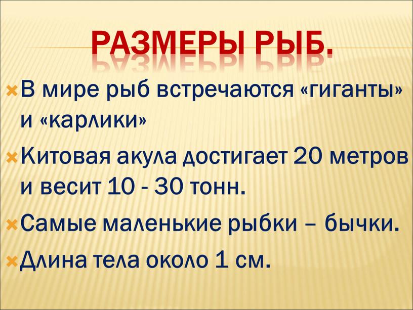 Размеры рыб. В мире рыб встречаются «гиганты» и «карлики»