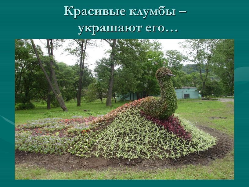 Красивые клумбы – украшают его…