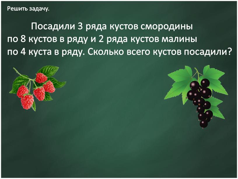 Решить задачу. Посадили 3 ряда кустов смородины по 8 кустов в ряду и 2 ряда кустов малины по 4 куста в ряду