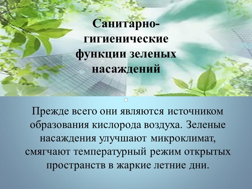 Прежде всего они являются источником образования кислорода воздуха