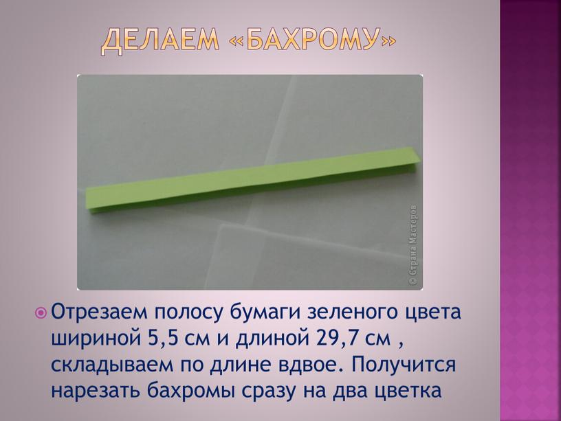Делаем «бахрому» Отрезаем полосу бумаги зеленого цвета шириной 5,5 см и длиной 29,7 см , складываем по длине вдвое