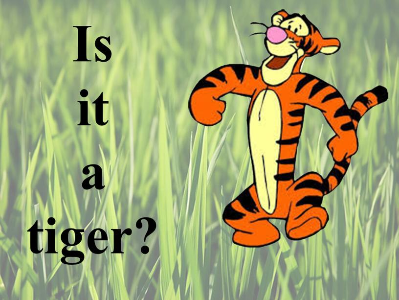 Is it a tiger?