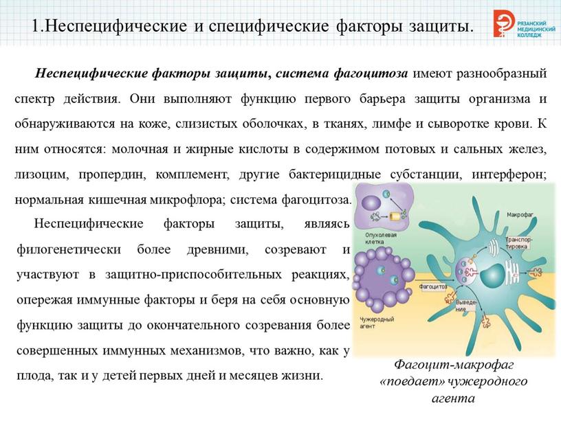 Неспецифические и специфические факторы защиты