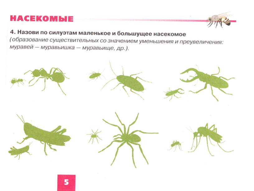 Обучающая презентация "Насекомые" для детей старшего дошкольного возраста