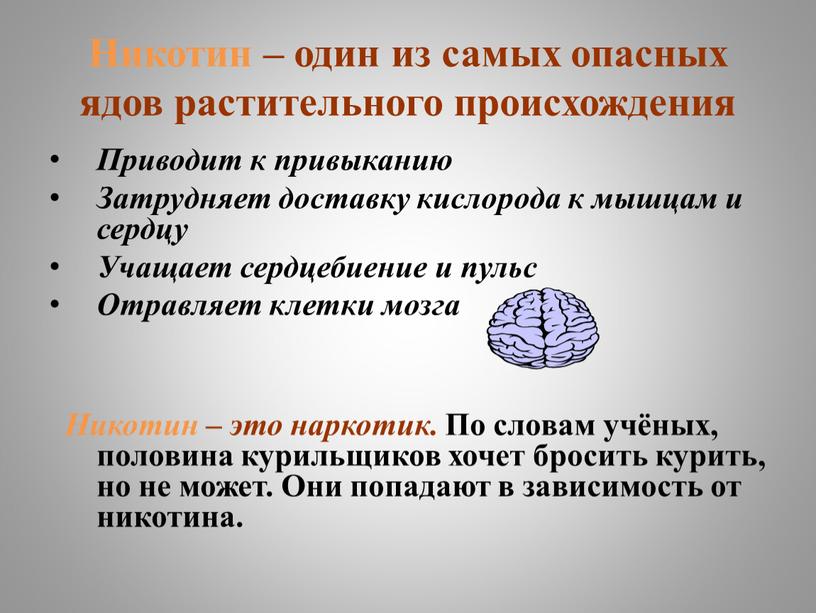 Никотин – один из самых опасных ядов растительного происхождения