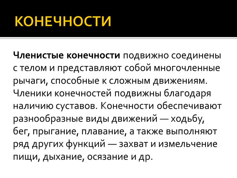 КОНЕЧНОСТИ Членистые конечности подвижно соединены с телом и представляют собой многочленные рычаги, способные к сложным движениям