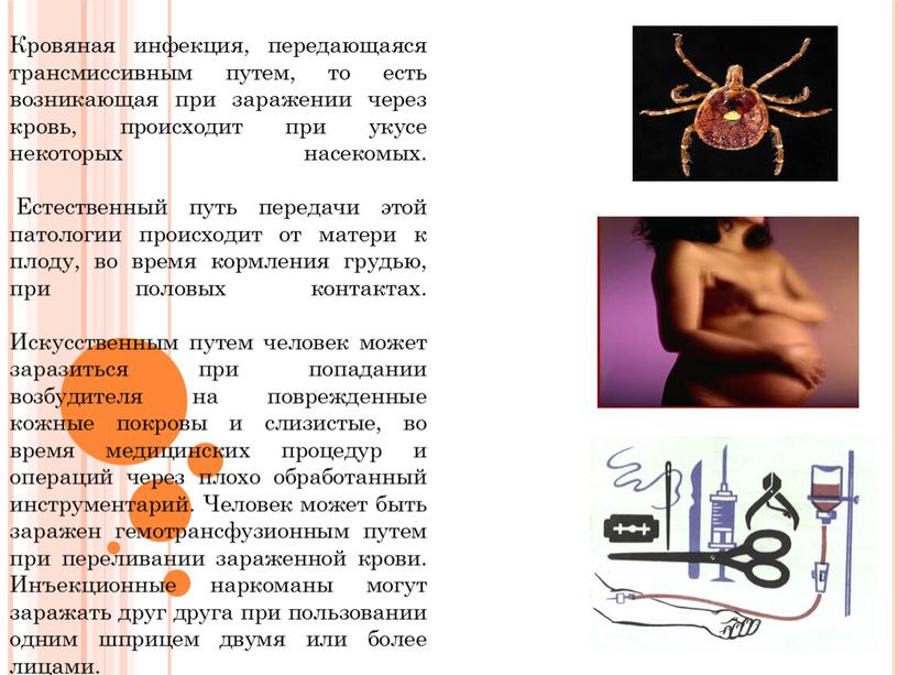 Кровяная инфекция, передающаяся трансмиссивным путем, то есть возникающая при заражении через кровь, происходит при укусе некоторых насекомых