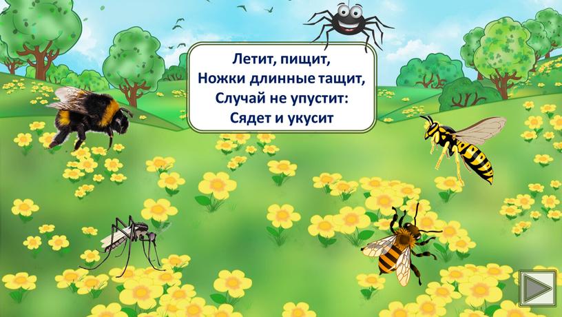 Калейдоскоп загадок. Тема: "Насекомые"