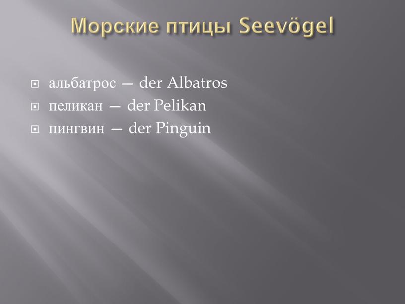 Морские птицы Seevögel альбатрос — der