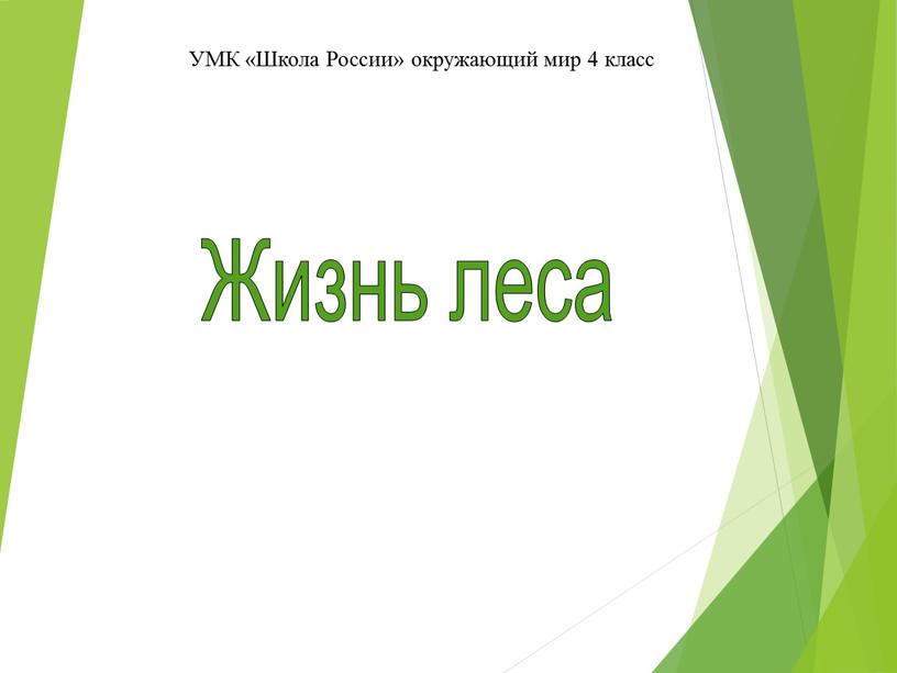 Жизнь леса УМК «Школа России» окружающий мир 4 класс