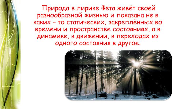 Природа в лирике Фета живёт своей разнообразной жизнью и показана не в каких – то статических, закреплённых во времени и пространстве состояниях, а в динамике,…