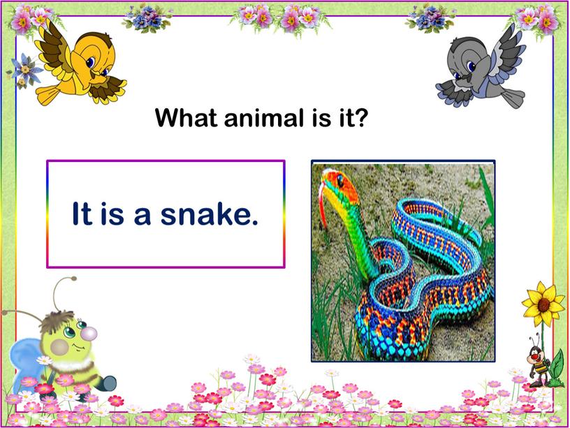 What animal is it? It is a snake