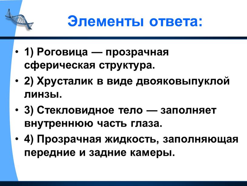 Элементы ответа: 1) Роговица — прозрачная сферическая структура