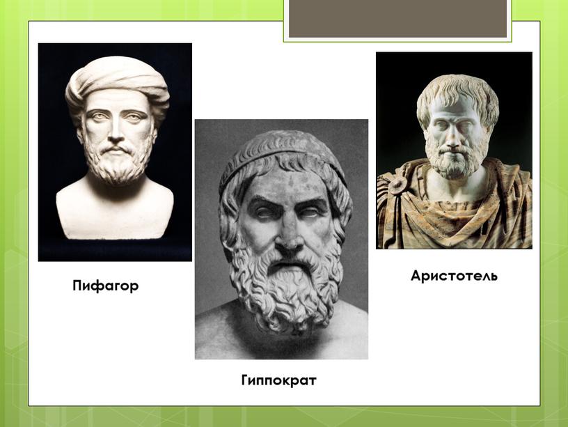 Пифагор Гиппократ Аристотель