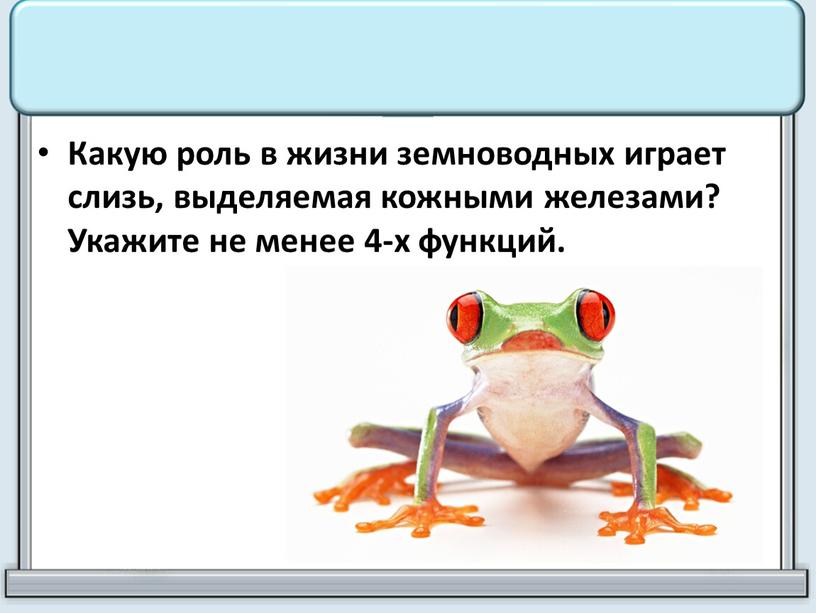 Какую роль в жизни земноводных играет слизь, выделяемая кожными железами?