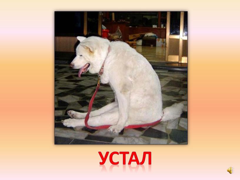 устал