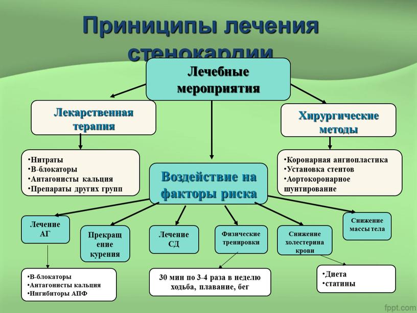 Приниципы лечения стенокардии Лечебные мероприятия