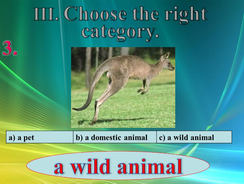 a) a pet b) a domestic animal c) a wild animal