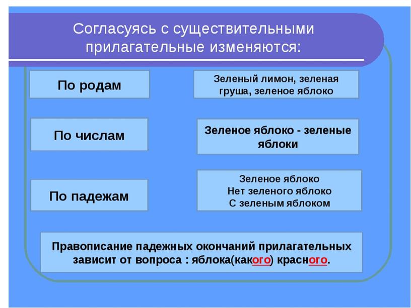 Урок русского языка "Связь прилагательного с существительным" (презентация)