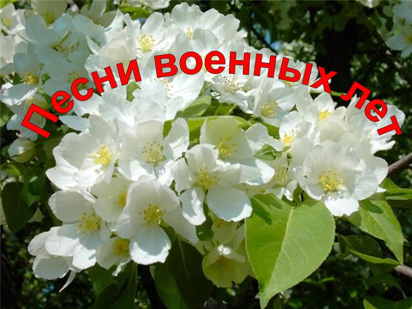 Песни военных лет