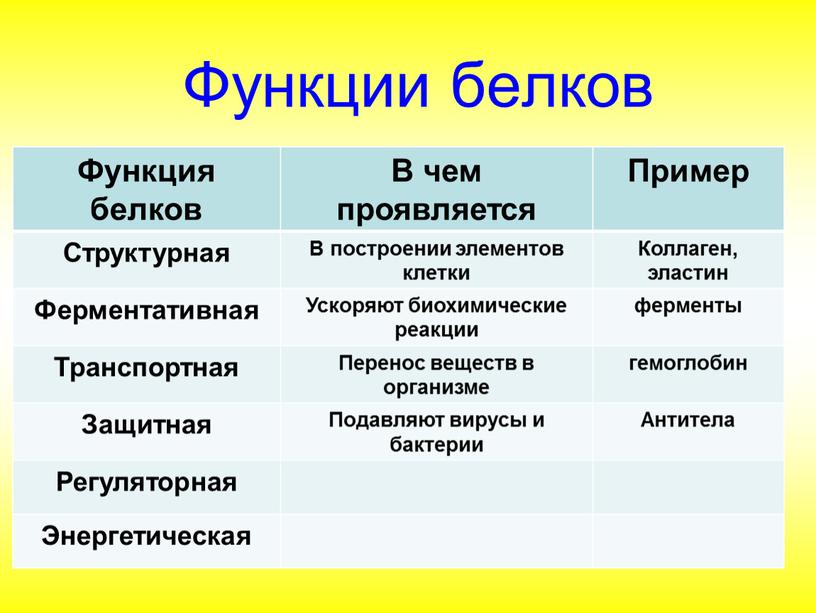 Функции белков Функция белков В чем проявляется