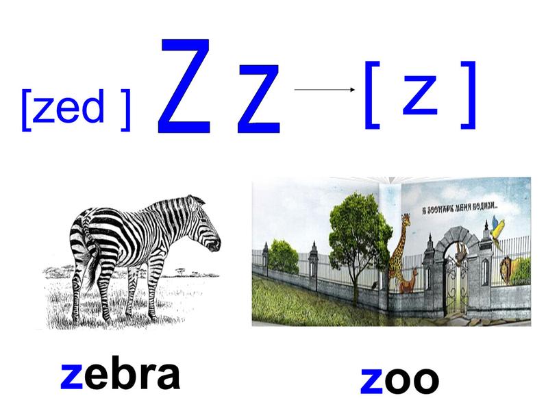 Z z [ z ] zebra zoo [zed ]