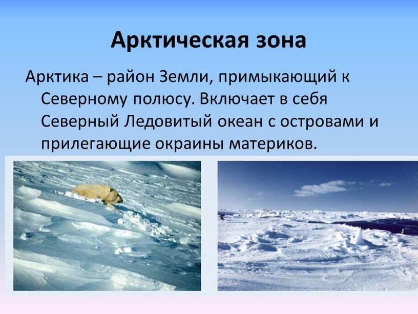Арктическая зона Арктика – район