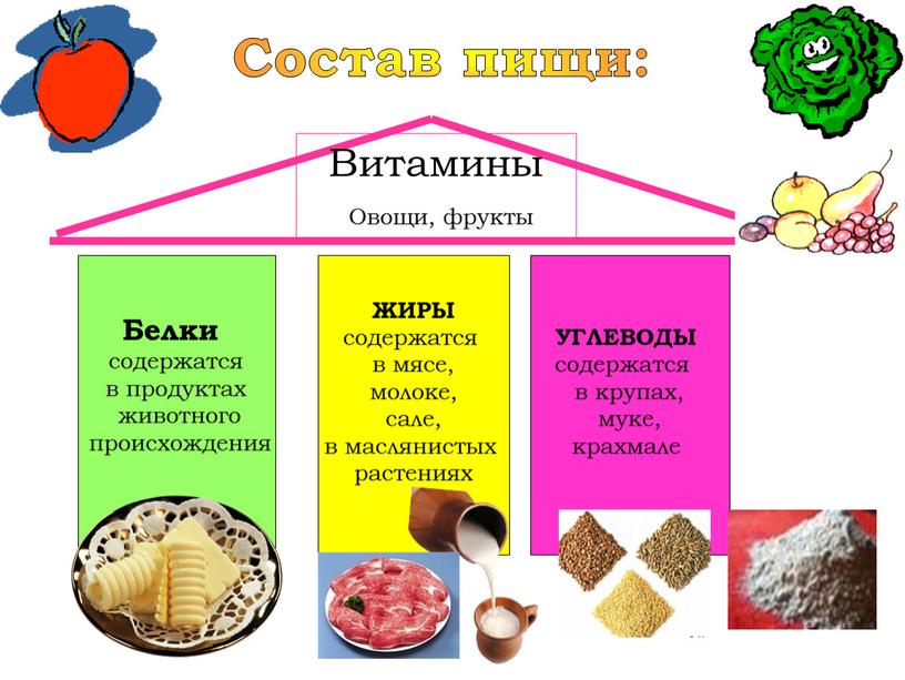 Состав пищи: Белки содержатся в продуктах животного происхождения