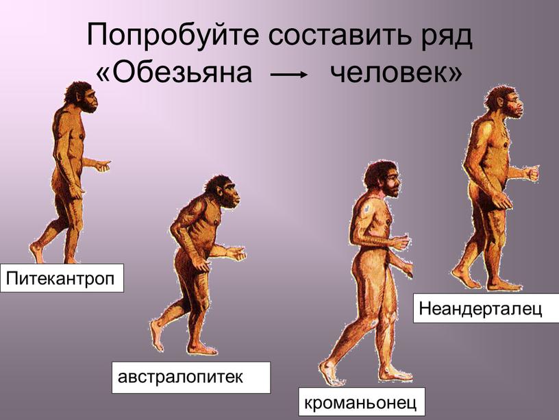 Попробуйте составить ряд «Обезьяна человек»