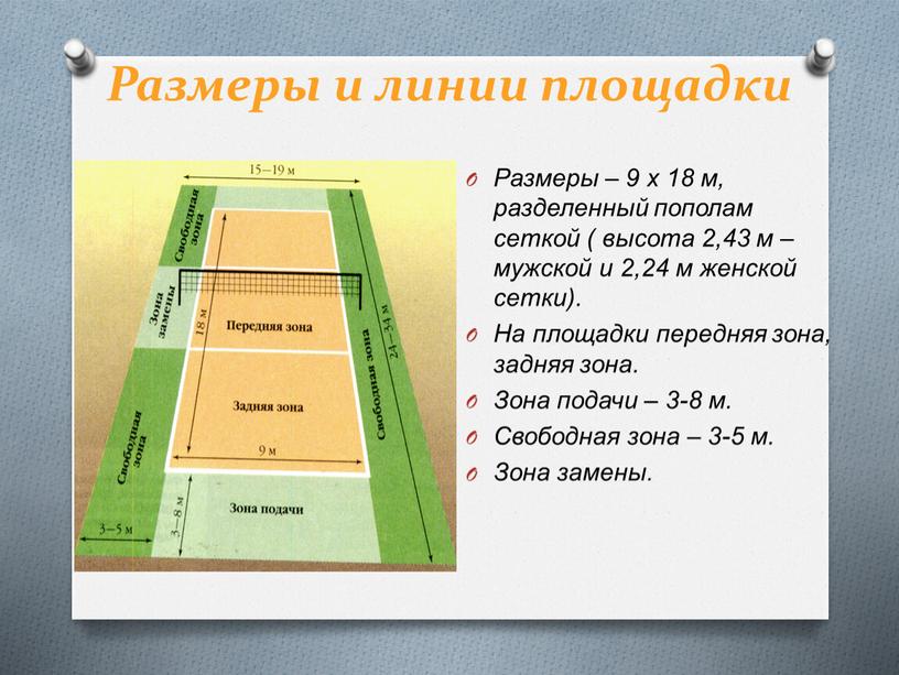 Размеры и линии площадки Размеры – 9 х 18 м, разделенный пополам сеткой ( высота 2,43 м – мужской и 2,24 м женской сетки)