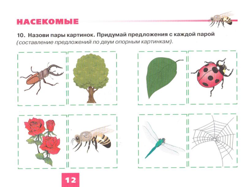 Обучающая презентация "Насекомые" для детей старшего дошкольного возраста