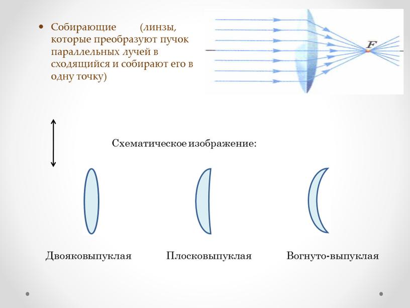 Двояковыпуклая Плосковыпуклая Вогнуто-выпуклая