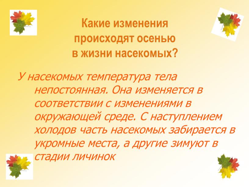 Какие изменения происходят осенью в жизни насекомых?